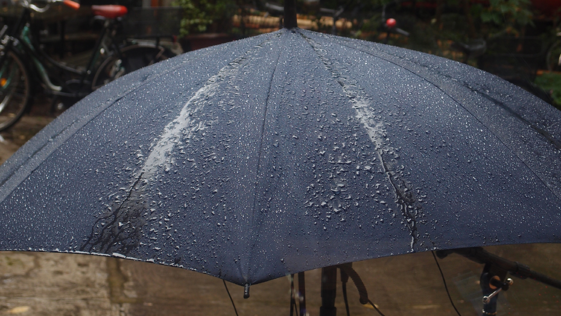 2021-08 Das Kleine Regen Rhythmus Orchester (Audio, Video, Grafk, Foto)
